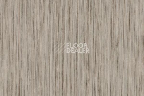 Линолеум FORBO Sarlon Wood 15dB 121T4315 grey linea фото 1 | FLOORDEALER
